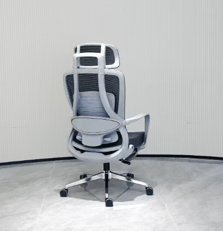 Image #2 from ERHSBD